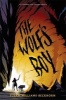 The Wolf's Boy (Hardcover) - Susan Williams Beckhorn Photo