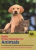 Bach Flower Remedies for Animals - the Definitive Guide to Treating Animals with the Bach Remedies (Paperback, New ed) - Judy Howard Photo