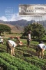 Food and Power in Hawai'i - Visions of Food Democracy (Hardcover) - Aya Hirata Kimura Photo