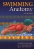 Swimming Anatomy - Your Illustrated Guide for Swimming Strength, Speed and Endurance (Paperback) - Ian McLeod Photo