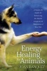 Energy Healing for Animals - A Hands-on Guide for Enhancing the Health, Longevity, and Happiness of Your Pets (Paperback) - Joan Ranquet Photo