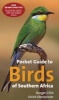 Pocket Guide to Birds of Southern Africa (Paperback, Revised 5th Edition) - Burger Cillie Photo