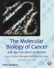 The Molecular Biology of Cancer - A Bridge from Bench to Bedside (Paperback, 2nd Revised edition) - Stella Pelengaris Photo