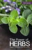 The Power of Herbs (Hardcover) - Gill Davies Photo