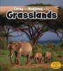 Living and Nonliving in the Grasslands (Paperback) - Rebecca Rissman Photo