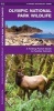 Olympic National Park Wildlife - A Folding Pocket Guide to Familiar Species (Pamphlet) - James Kavanagh Photo