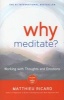 Why Meditate? (Paperback) - Matthieu Ricard Photo