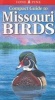 Compact Guide to Missouri Birds (Paperback) - Michael Roedel Photo