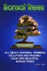 Bonsai Trees - All about Growing, Trimming, Sculpting and Pruning Beautiful Bonsai Trees (Paperback) - Werner Jones Photo