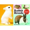 Rabbit Breeds (Paperback) - Lynn M Stone Photo