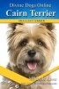 Cairn Terrier (Paperback) - Mychelle Klose Photo