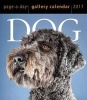 Dog Page-A-Day Gallery Calendar 2017 (Calendar) - Workman Publishing Photo