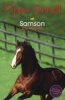 Samson - The Stallion (Paperback) - Pippa Funnell Photo