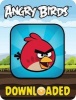 Angry Birds Downloaded (Paperback) -  Photo