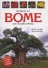 Veldgids Tot Bome Van Suider-Afrika (Afrikaans, Paperback, Nuwe) - Braam van Wyk Photo