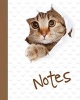 Cat Notebook, Notes, Jotter, Notebook, Lined Pages - 100 Lined Pages, Notebook / Journal (Paperback) - N Brown Photo