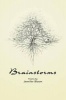 Brainstorms (Paperback) - Jennifer Bloom Photo