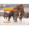 Collins Big Cat - Animal Ancestors: Band 09/Gold (Paperback, American English ed) - Jon Hughes Photo