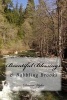 Beautiful Blessings - & Babbling Brooks (Paperback) - Dianna Wyles Photo