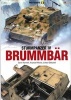 Sturmpanzer IV Brummbar (Paperback) - Samir Karmieh Photo