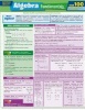 Algebra Fundamentals (Wallchart) - BarCharts Inc Photo