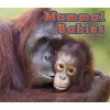 Mammal Babies (Paperback) - Catherine Veitch Photo