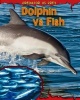 Dolphin Vs Fish (Paperback) - Mary Meinking Photo