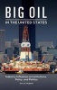 Big Oil in the United States - Industry Influence on Institutions, Policy, and Politics (Hardcover) - Jerry A McBeath Photo