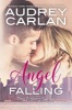 Angel Falling (Paperback) - Audrey Carlan Photo