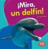 Mira, Un Delfin! (Look, a Dolphin!) (English, Spanish, Paperback) - Tessa Kenan Photo