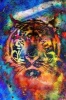 A Colorful Psychedelic Tiger Illustration Journal - 150 Page Lined Notebook/Diary (Paperback) - Cs Creations Photo