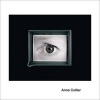 Anne Collier (Hardcover) - Madeleine Grynsztejn Photo