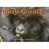 Busy Gorillas (Hardcover) - John Schindel Photo