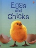 Eggs and Chicks (Hardcover, New edition) - Fiona Patchett Photo