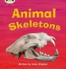 Animal Skeletons, Set 17 - Non-Fiction (Paperback) - Paul Shipton Photo