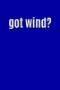 Got Wind? - Funny Parody Writing Journal Lined, Diary, Notebook for Men & Women (Paperback) - Journals and More Photo