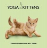 Yoga Kittens - Take Life One Pose at a Time (Hardcover) - Daniel Borris Photo