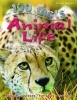 100 Facts Animal Life (Paperback) - Barbara Taylor Photo