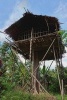 Traditional Korowai Tree House Journal - 150 Page Lined Notebook/Diary (Paperback) - Cool Image Photo