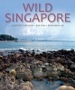 Wild Singapore - In Association with the National Parks Board of Singapore (Hardcover) - Geoffrey Davison Photo