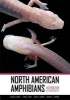 North American Amphibians - Distribution and Diversity (Hardcover) - David M Green Photo