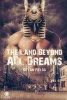 The Land Beyond All Dreams (Paperback) - Bryan Fields Photo