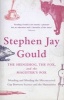 The Hedgehog, the Fox and the Magister's Pox - Mending and Minding the Misconceived Gap Between Science and the Humanities (Paperback, New ed) - Stephen Jay Gould Photo