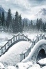 A Gothic Bridge Painting in the Winter Countryside - Blank 150 Page Lined Journal for Your Thoughts, Ideas, and Inspiration (Paperback) - Unique Journal Photo