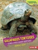 Galpagos Tortoises - Long-Lived Giant Reptiles (Hardcover) - Rebecca E Hirsch Photo