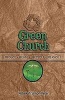 Green Church - Reduce, Reuse, Recycle, Rejoice! (Paperback) - Rebekah Simon Peter Photo