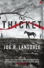 The Thicket (Paperback) - Joe R Lansdale Photo