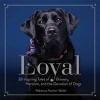 Loyal (Hardcover) - Rebecca Ascher Walsh Photo