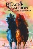 The Black Stallion Challenged! (Hardcover, Turtleback Scho) - Walter Farley Photo