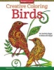 Birds - Art Activity Pages to Relax and Enjoy! (Paperback) - Valentina Harper Photo